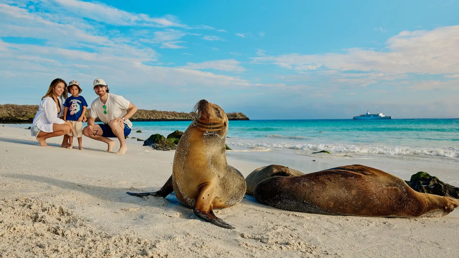 gogalapagos cruise promotions